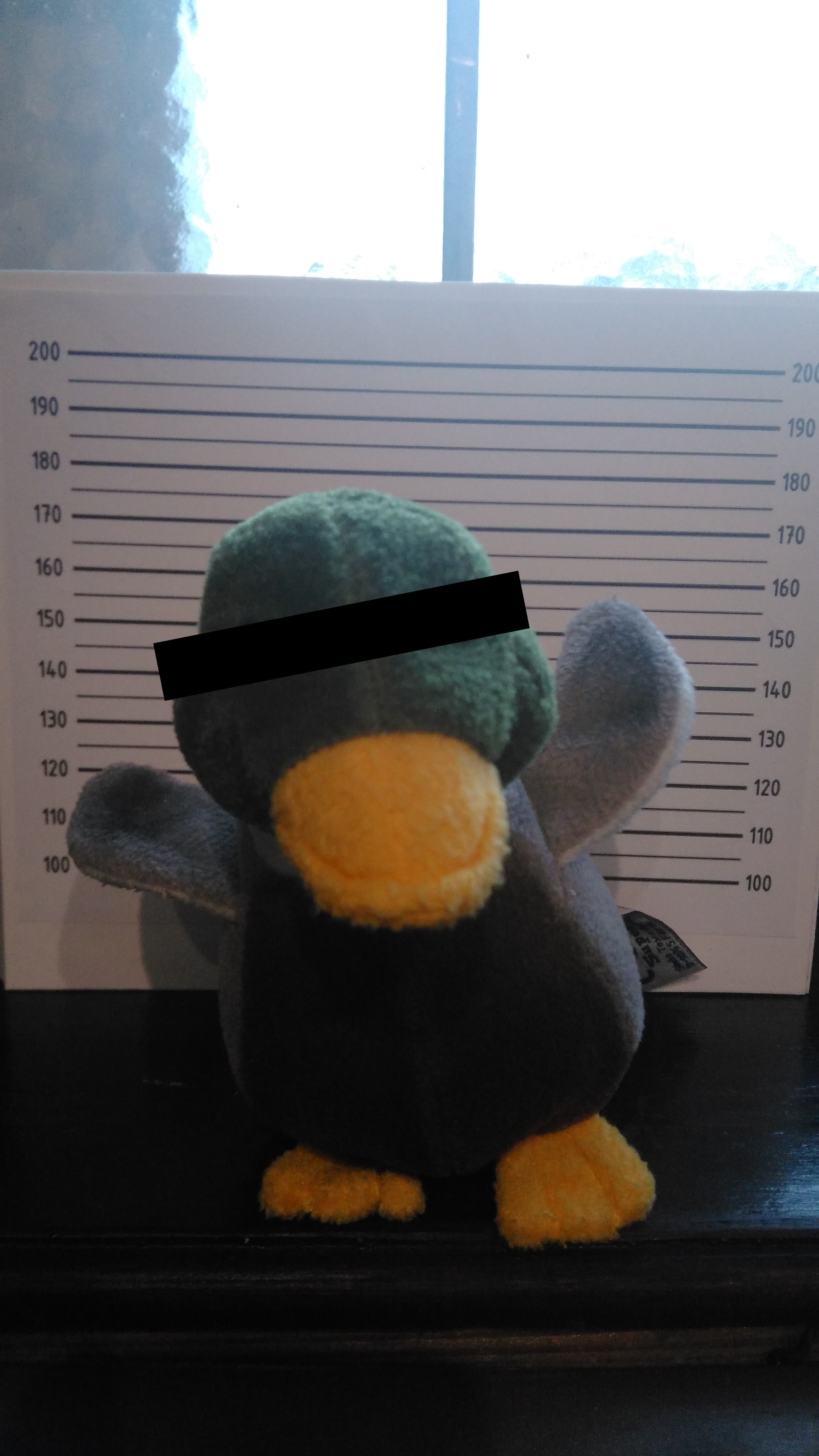 Der Täter Entoman